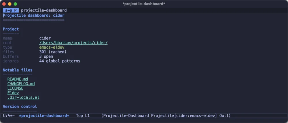 The Projectile dashboard for CIDER: its type, files, buffers and notable files